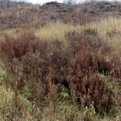 698856c257ad230d31a0de90fed6ae35