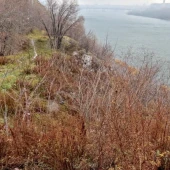 6ba07715a4ec18c1d6b3782409d4ff0c