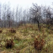 6dd3cf5fe2db8405499ed34ba13e3e2b