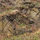 716f56200f861f0705245f1c67454323