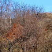 72a453b4e9eae17c2f69b30e20aee3cb