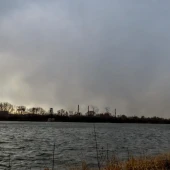 74836169aa1600a833587d855615a299