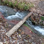 750c000041e4371dff479b062372bd60