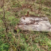 75b2943740e70f31a177ed2684085b58