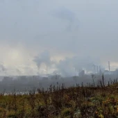 75ea09303e7976ac623055839fb1679b