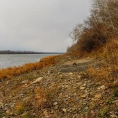 78356031851b62dc336466362e394f59