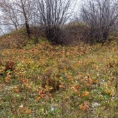 798848c90bc3aee667744dcfe9f34f6a