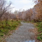 7d96d63efba35ca8f7bc5db564fbb64c