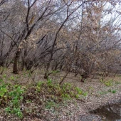 7e7fd92f5cbbfed661f9ca3a7bbca7b9