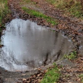 7f58bc72241a1ee083230746029ebcd9