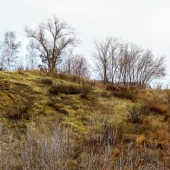 80766545438e9e05f538de1c2bb14d5c