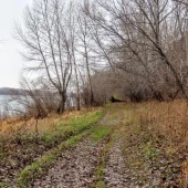 818fd902b57f45e57a8f8dd3c239695c