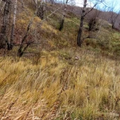 8359b232099c2f198c41a0e4c4853a69