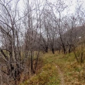 837fb4695f9623ec7fad7a8c77c5504b