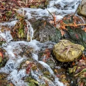 83b481fd53b4631f58e45c770a5f3272