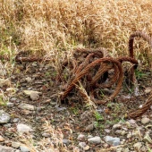 84566883b8be9e45d37ecb762d8dc9fc