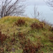 85ac73d4ddd6c2ef14b59777974dca56