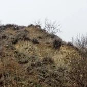 85b1e51a9d8dc898653e3c7304269259