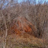 87b9831a0a8c109445a6c103c22f0194