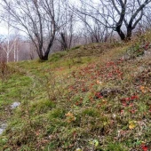 8bebb6d5f16af282dd418fec25f79dc4