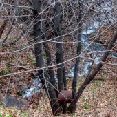 8df4a15e34d46159ed8042587d6e898d