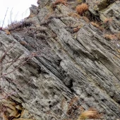 90dc990aed756c970f39adfbaed9d622