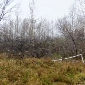 916b4e0d9e7c598d338a3aacbbbcdbba