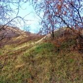 93f977077ef94b0a6541cacfb990ced3