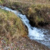 9954a5c9543c8e0011bda28d6872ba48