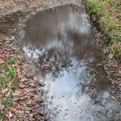 9da255e77ccb291026dbf2e350bf97de