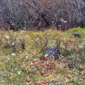 9ec2adca47ea08d633a58b3dc784ef91