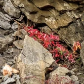 a2a0987bcd54c43483d9c6b16a85ff4c