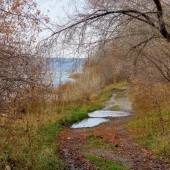 a3710be19519c312e76a3890669ec96a