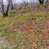 a38f045a22710d15357ea2a230e45ffb