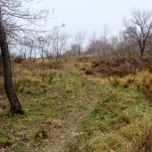 a3ee7f834dcefb825b23eb27b6e11a2e