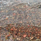 a7f25c569e4c316bcdd113faac174a0d