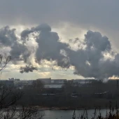 a86223c8235b53ff7d414de6bda0b0b5