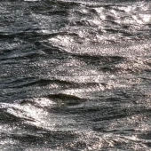 a9f508bb5c99205b7bd6c4c0c1e12575