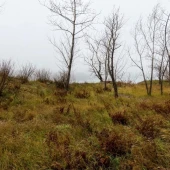 aa4ff95772fdd51923e6ec479a1628fd