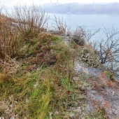 ab26a81780029acb978c012459feb472