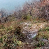 ab8bd437d2a3cb72df8d05c733bb652a