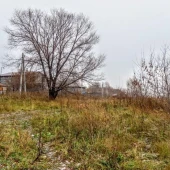 ab9639716af8f2dc25bec59c5761c03c