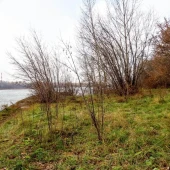 af02f32fe55d24c69a2c2e0566a803b3