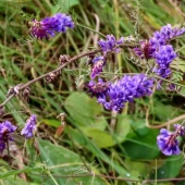 af2519aed519140789adcdfc648fe683