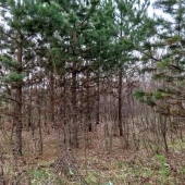 afea12b785a0a27d54d85a5824c07b07