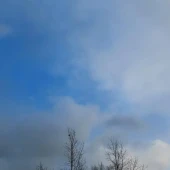 b03c317f8b9cf30198a973203f831114