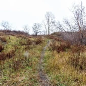 b0736bce7606fbe0ab17be793c6b9522