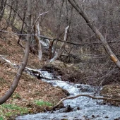 b0fb74edcfdecca0df745ddb65dfec50