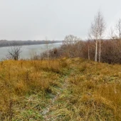 b6fbccee8ec9bcfe0233f8c0058cf121