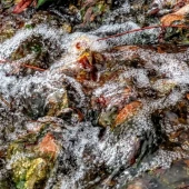 ba06c7e81c254bc850bded018987edb7